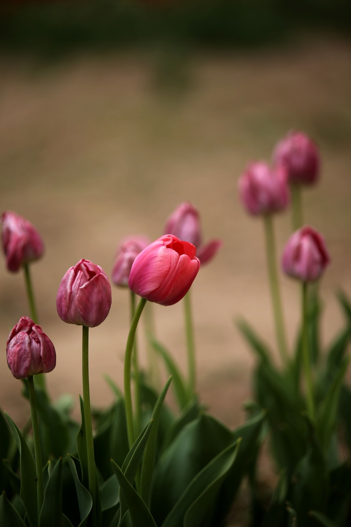 1DIV卖了，换了一个1DX。