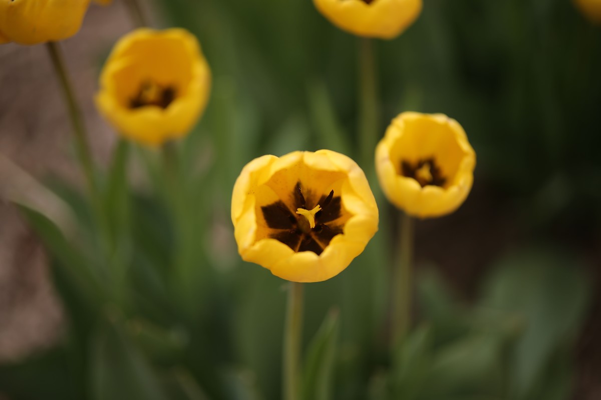 1DIV卖了，换了一个1DX。