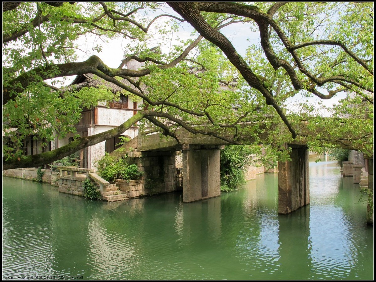 旅游随拍---濮院古镇3