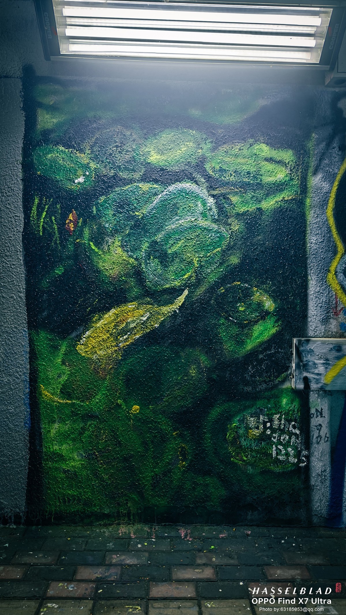 2024-05-26 李公楼地道涂鸦