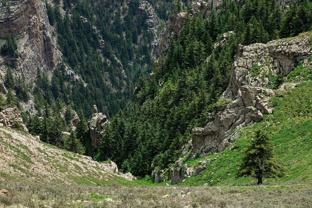 周末攀登贺兰山巴峰（下）