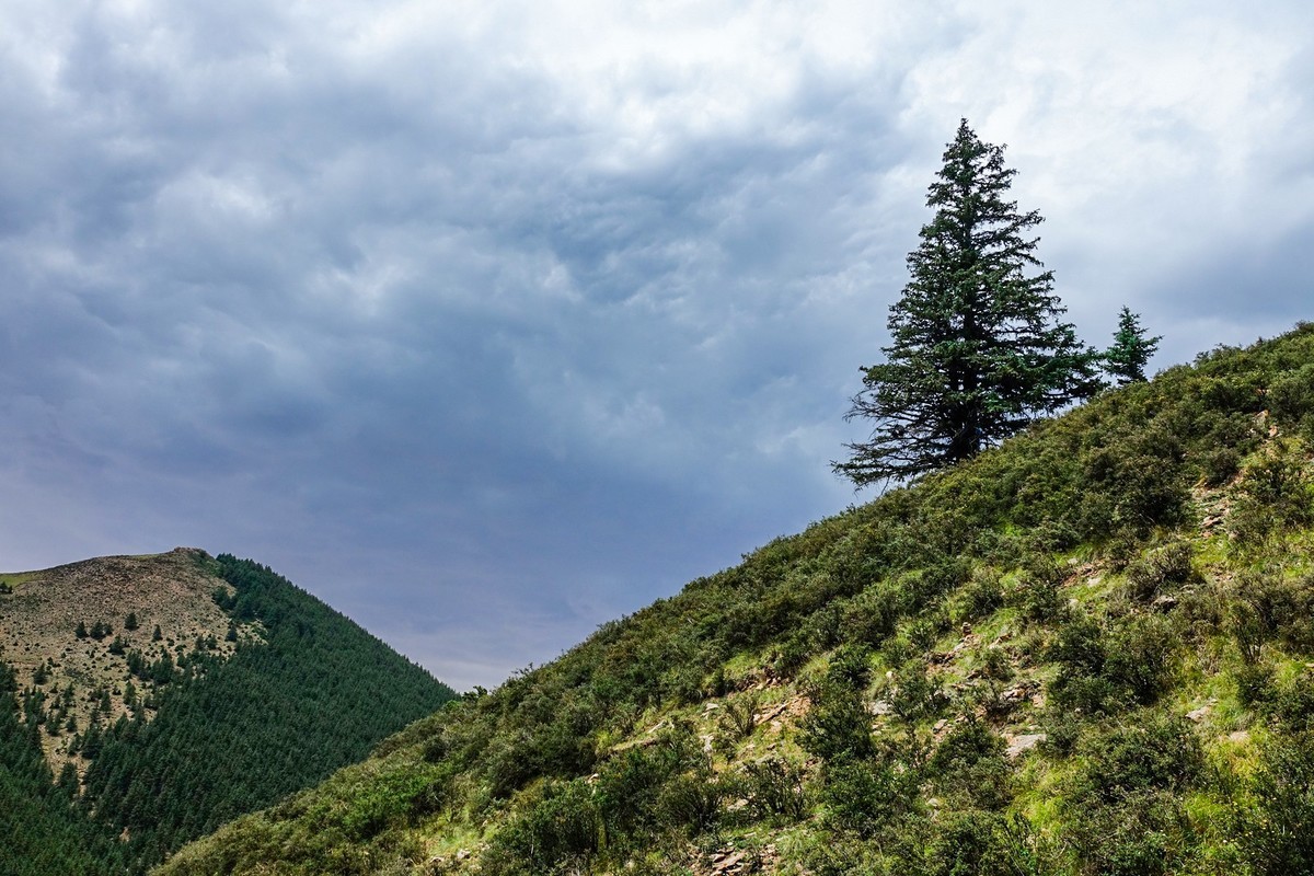 周末攀登贺兰山巴峰（下）