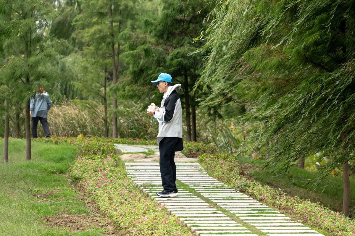 庐州印象（395）三河湿地公园