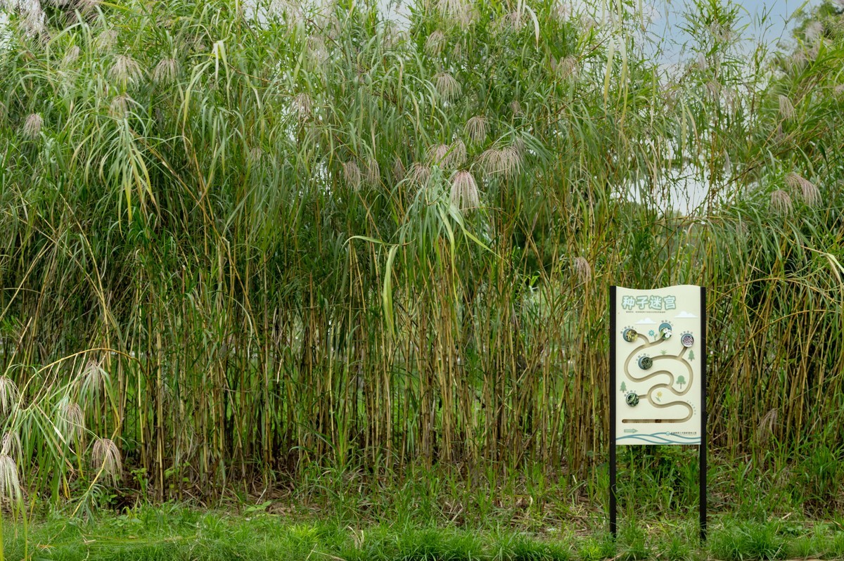 庐州印象（395）三河湿地公园