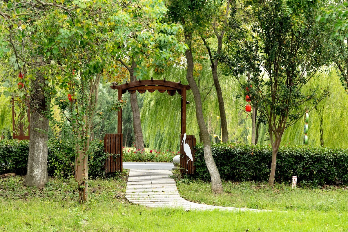 庐州印象（395）三河湿地公园