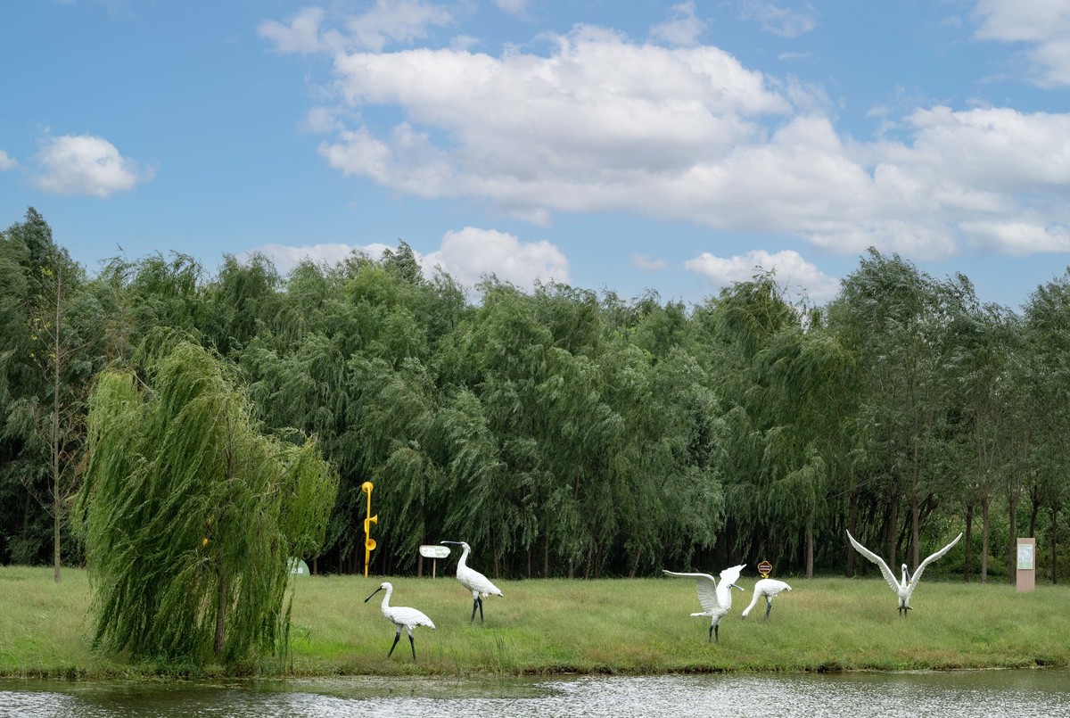庐州印象（395）三河湿地公园