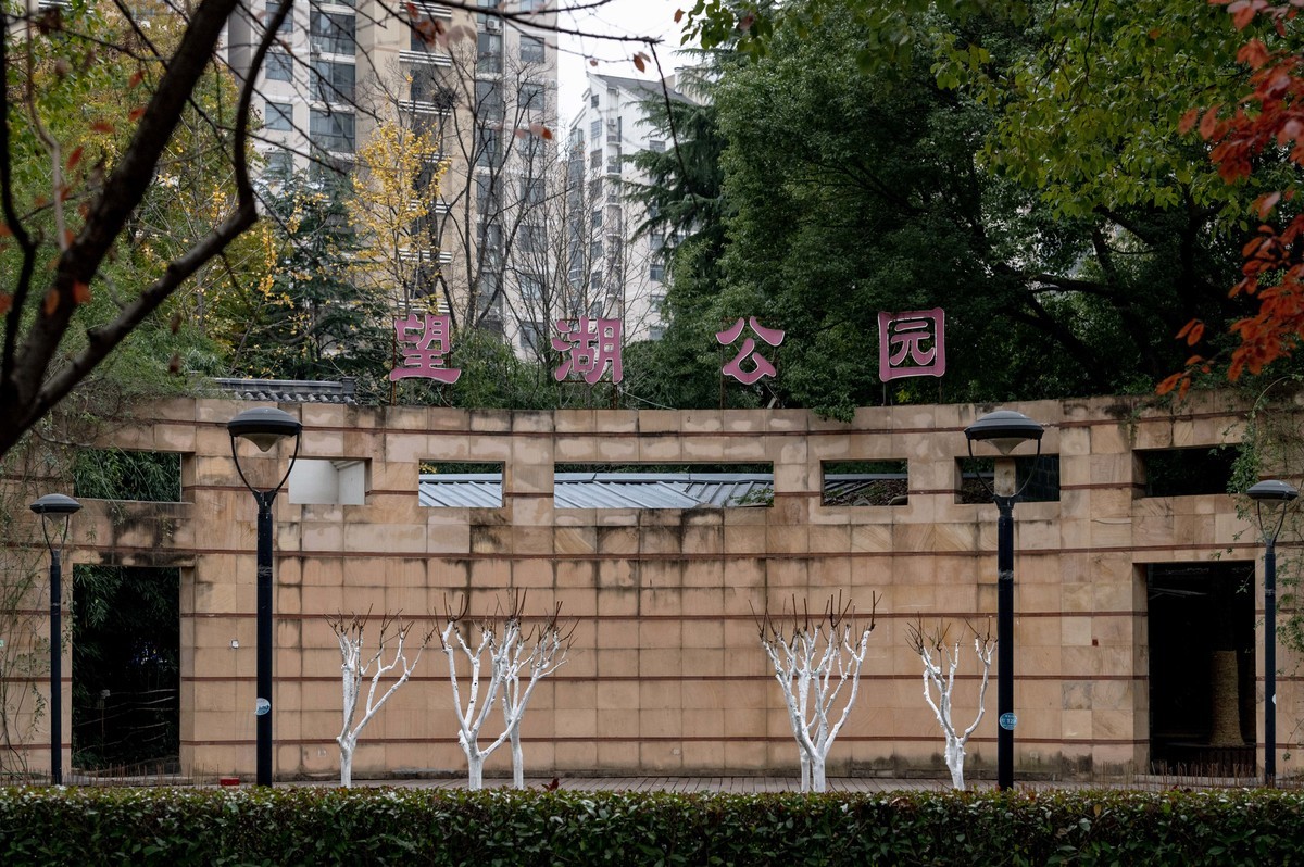 庐州印象（420）望湖城市政公园