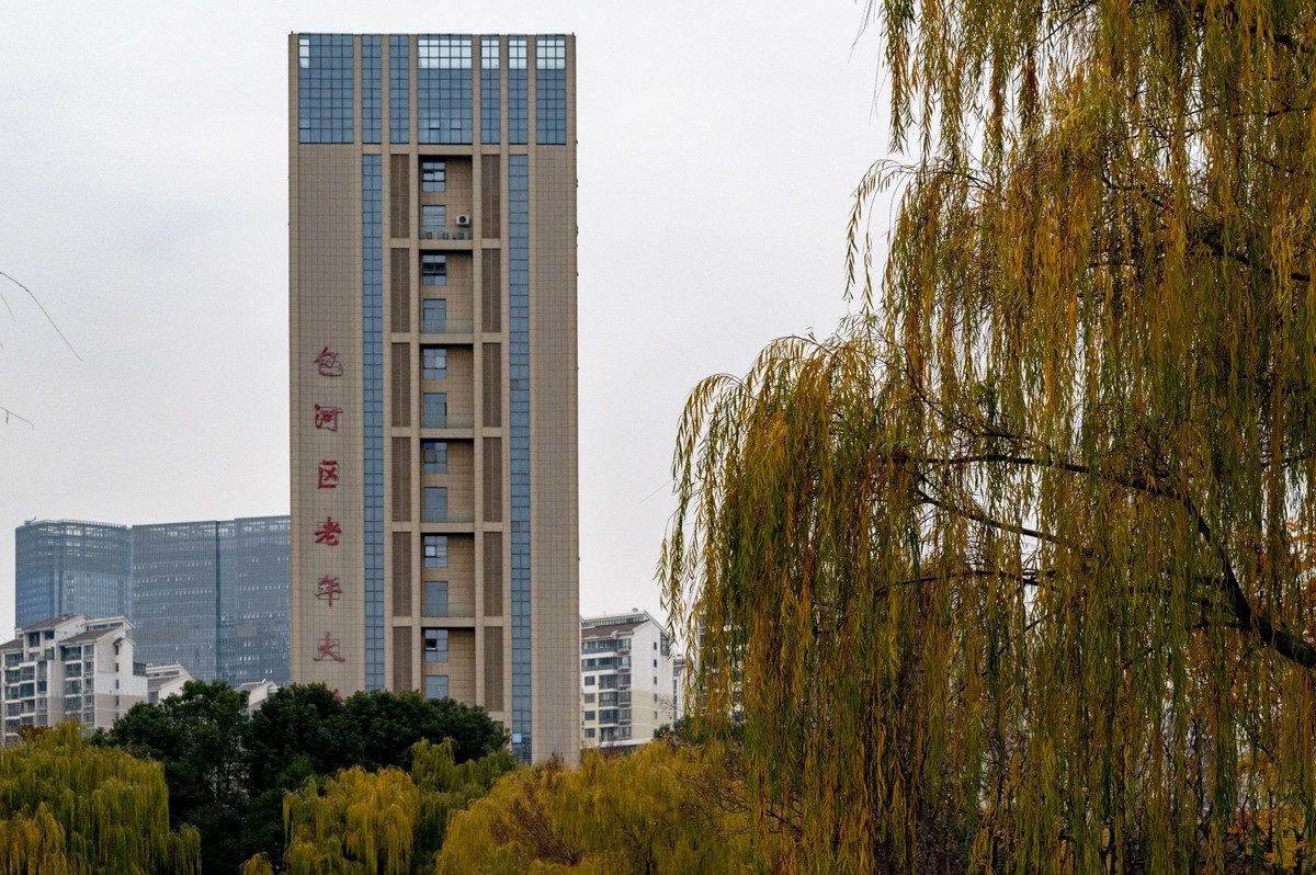 庐州印象（420）望湖城市政公园