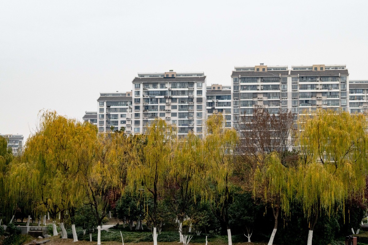 庐州印象（420）望湖城市政公园