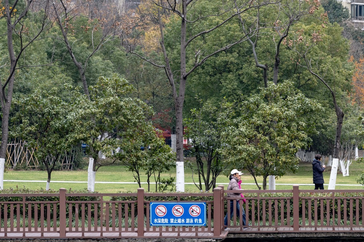 庐州印象（420）望湖城市政公园