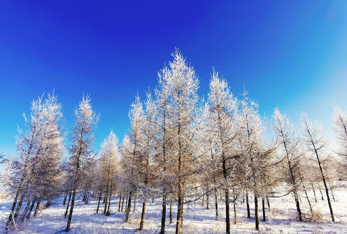 三月春已到，藏在御道口草原森林风景区里还未消失的雪