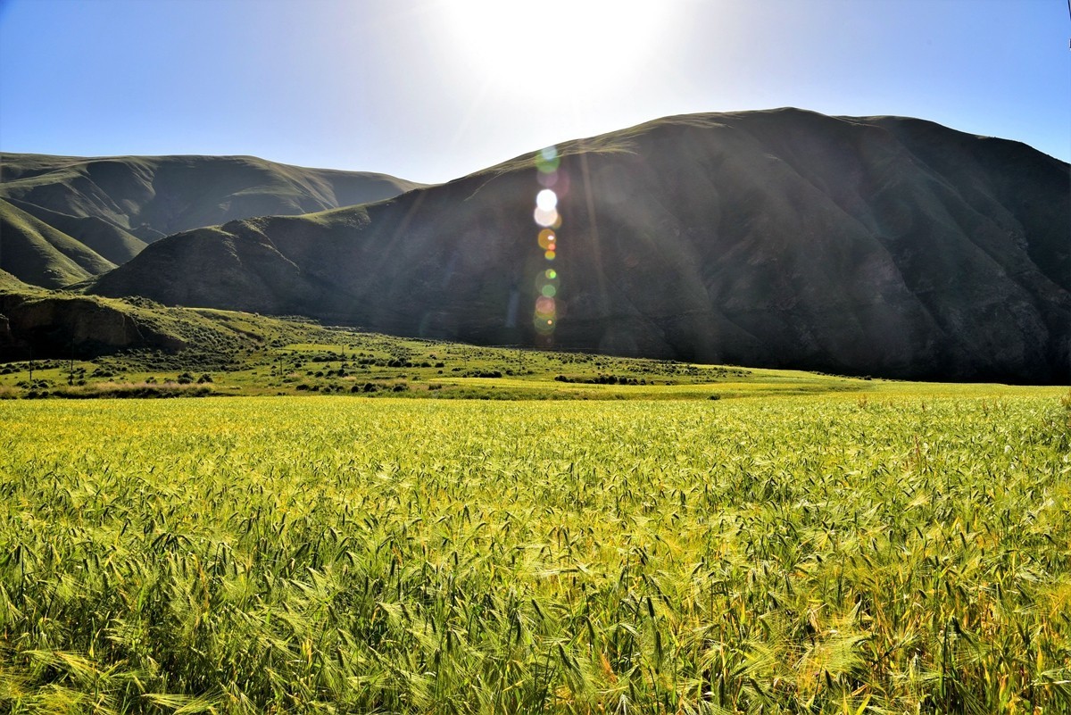 通天河畔好风光[13]