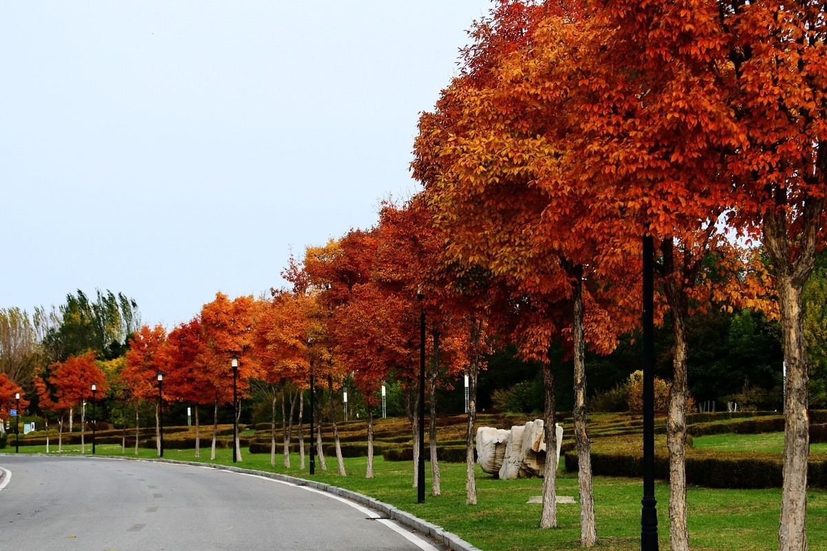 明湖广场秋意浓