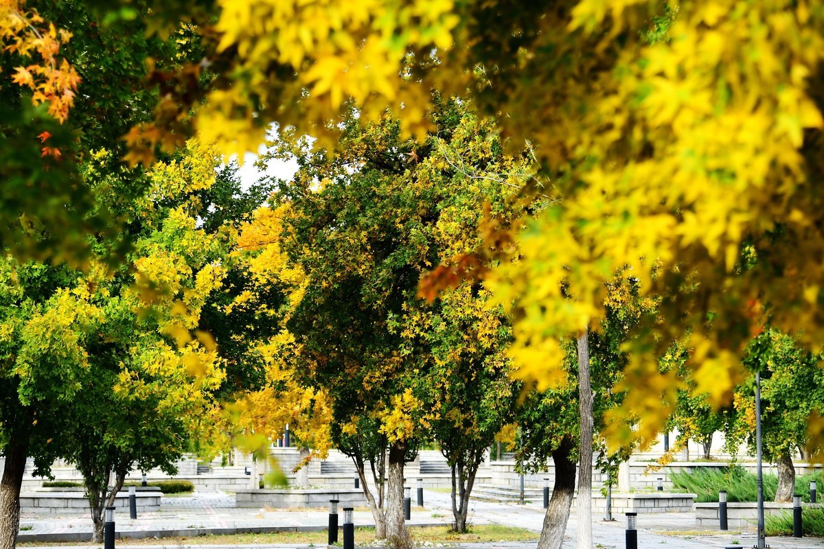 明湖广场秋意浓