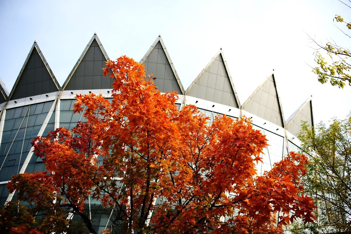 明湖广场秋意浓