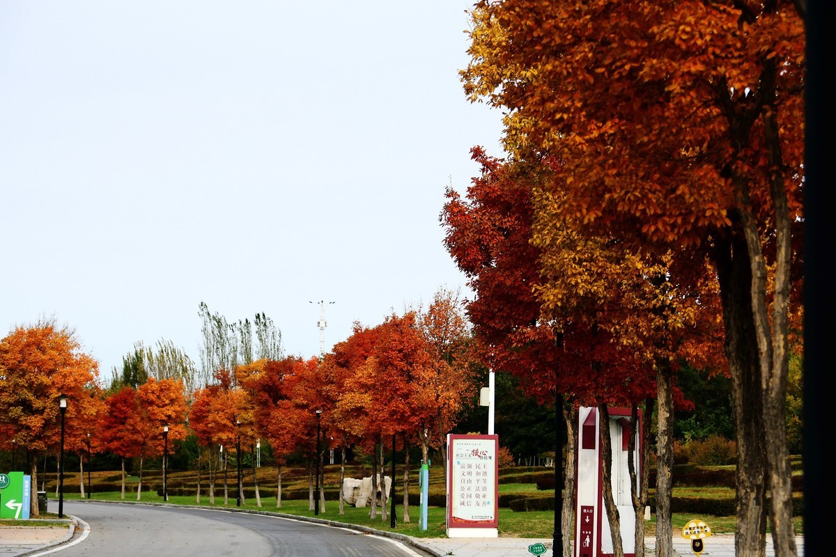 明湖广场秋意浓