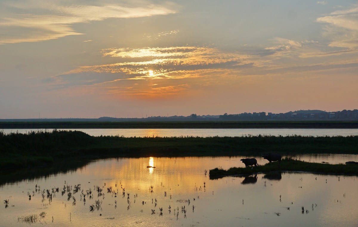 六月湖畔夕阳红