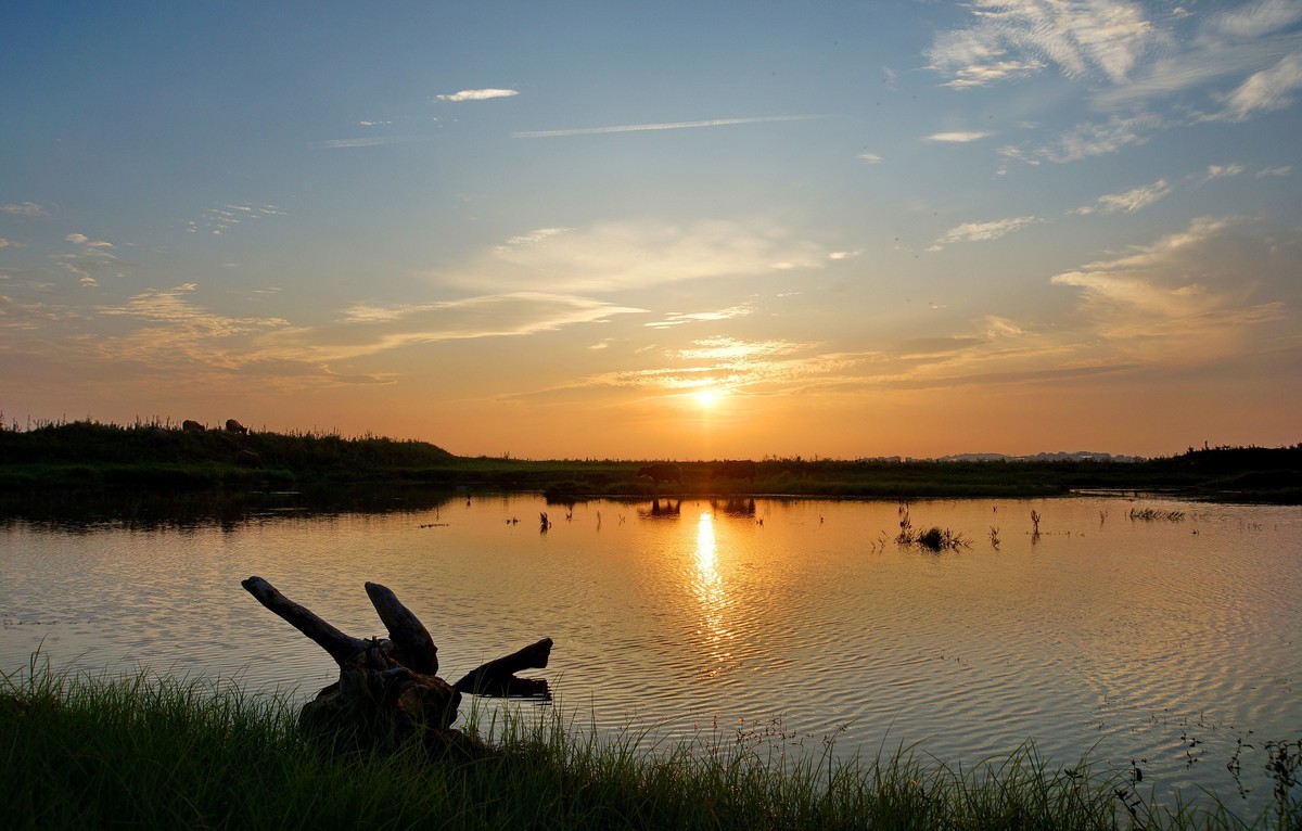 六月湖畔夕阳红