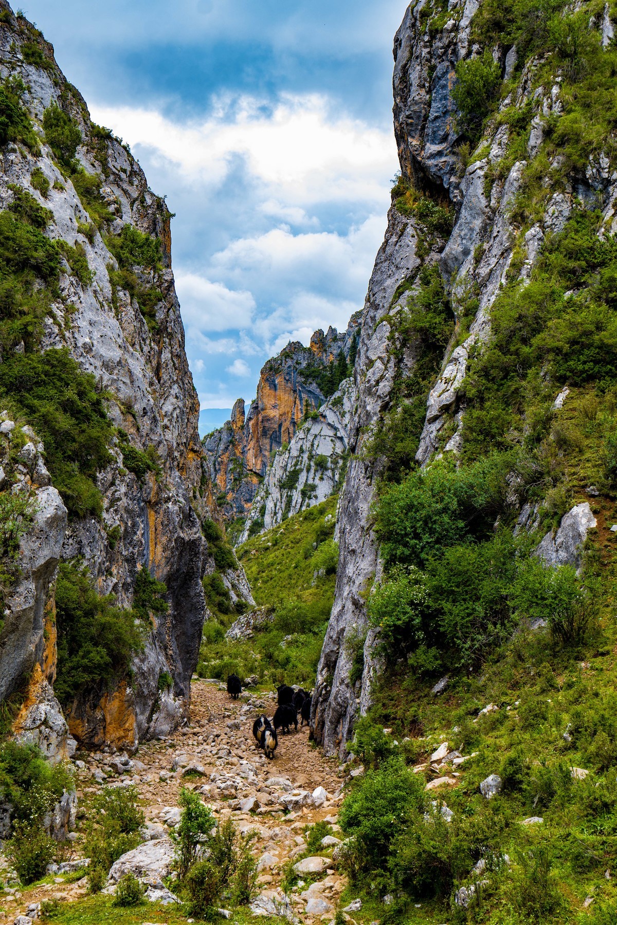 携松下S5 II旅拍