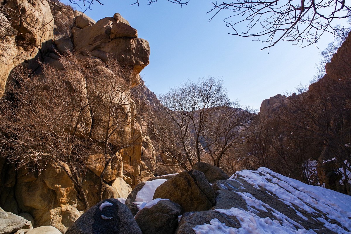 春天的贺兰山里！