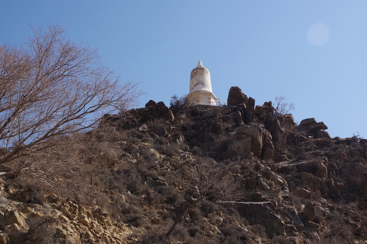 春天的贺兰山里！