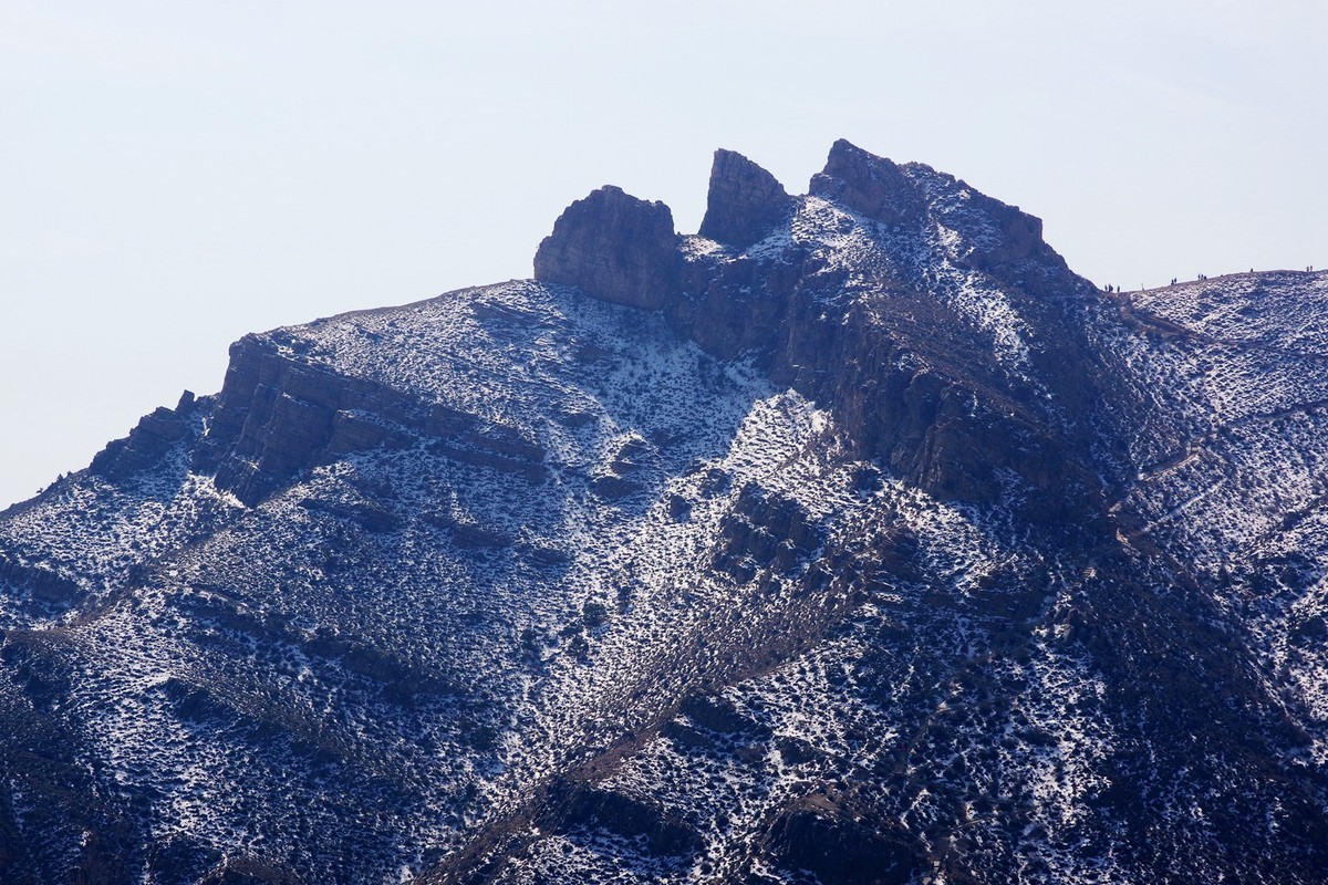 春天的贺兰山里！