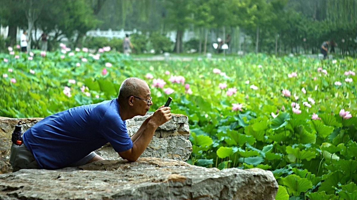 这个帖子怎么违禁了？