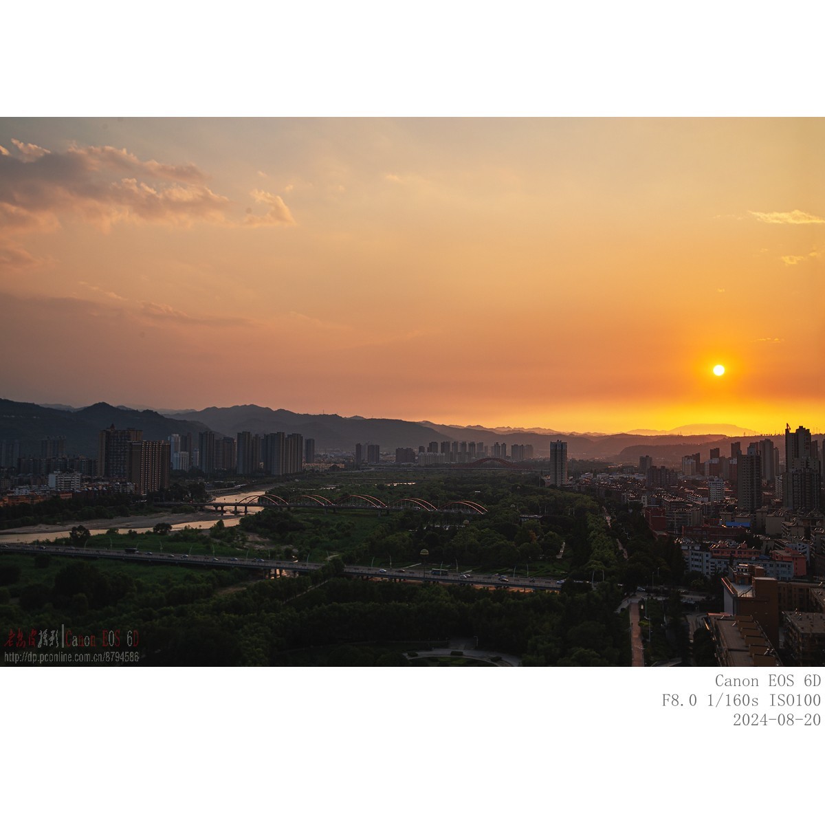 换个角度看石蒜