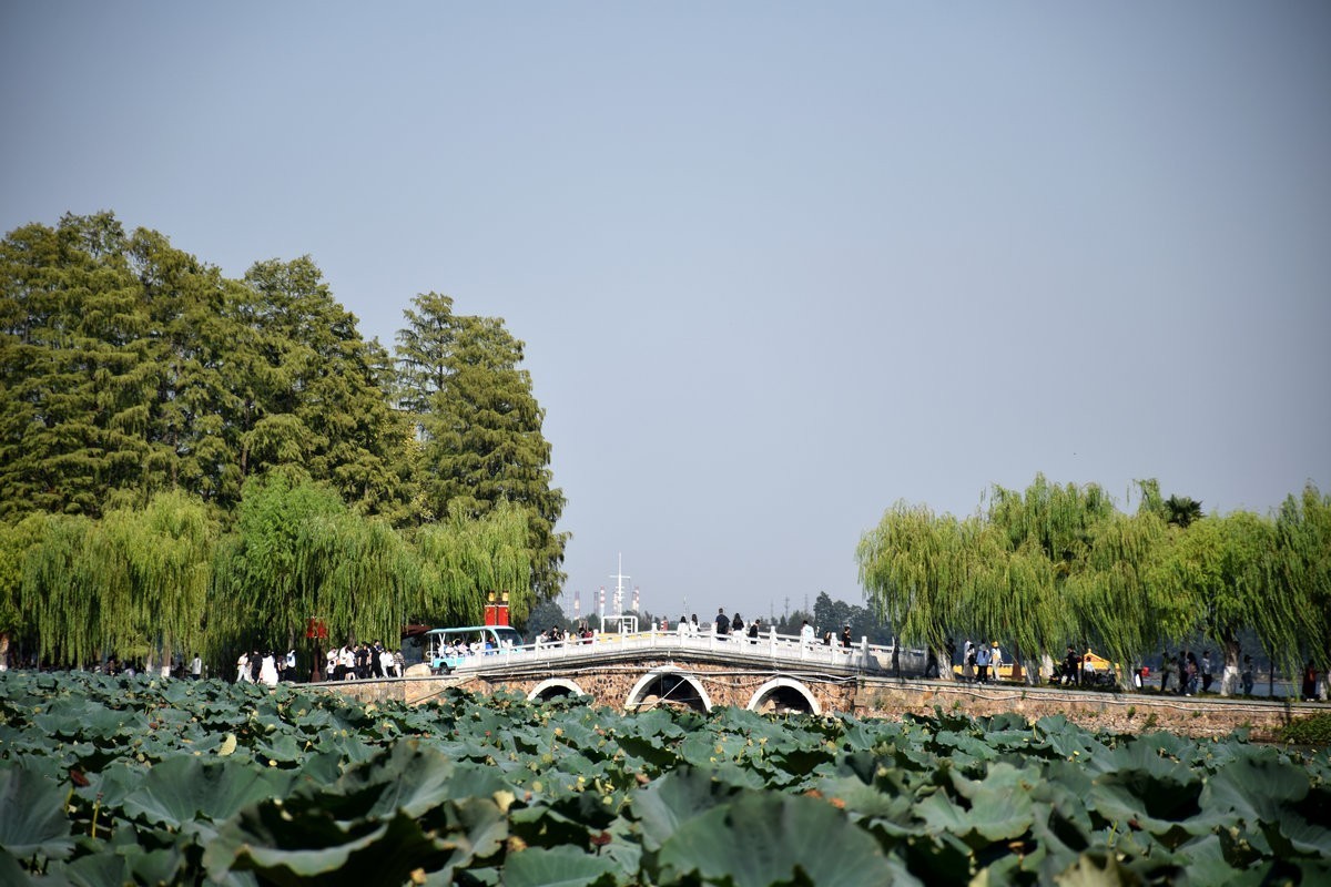 2024秋 江汉行（27）东湖揽胜