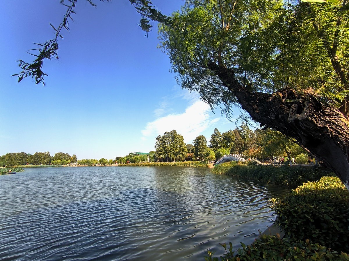 2024秋 江汉行（27）东湖揽胜