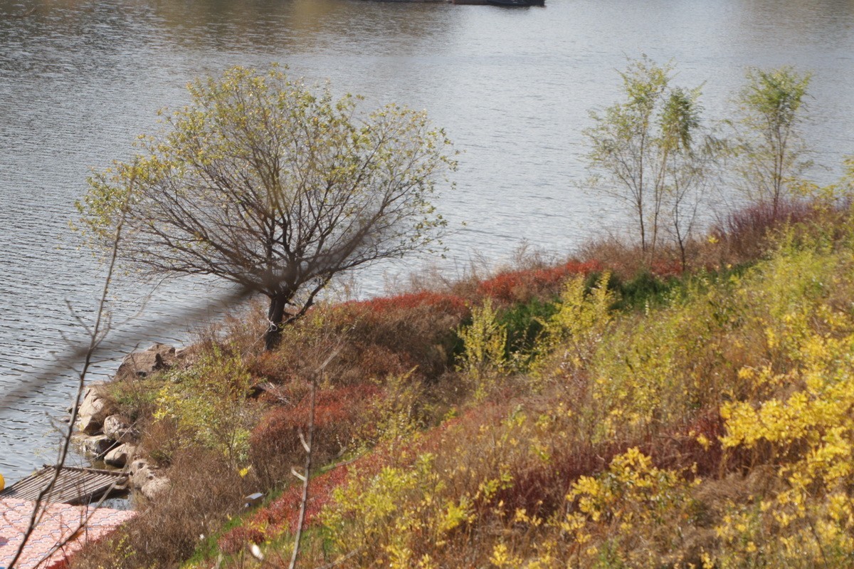 滨城游拍——西郊棠梨湖公园（2024-1）