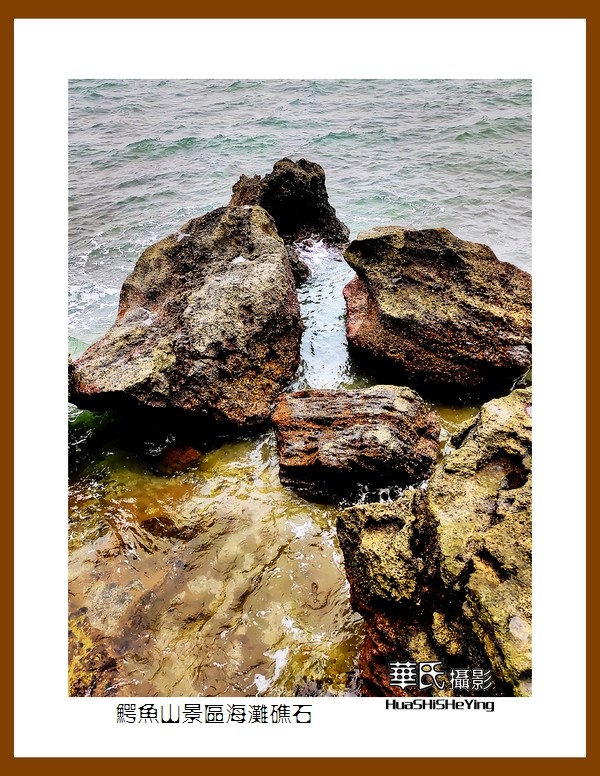 2022南行慢游（广西182）—鳄鱼山景区海滩礁石之一（北海市涠洲岛）