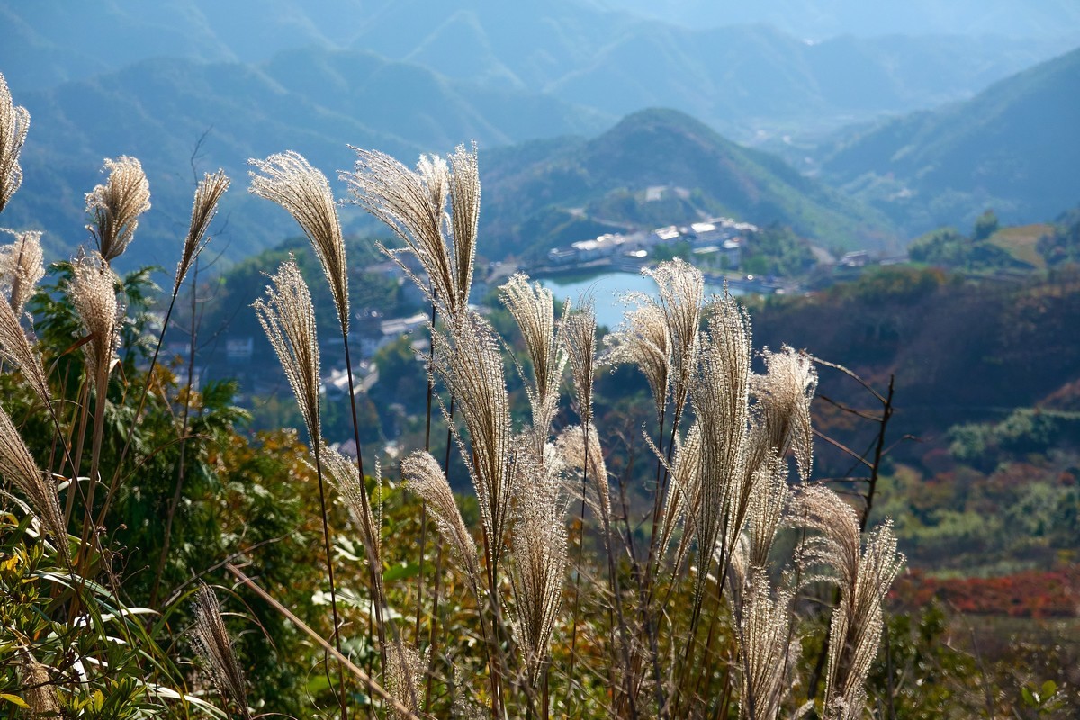 覆卮山秋意正浓 浙中