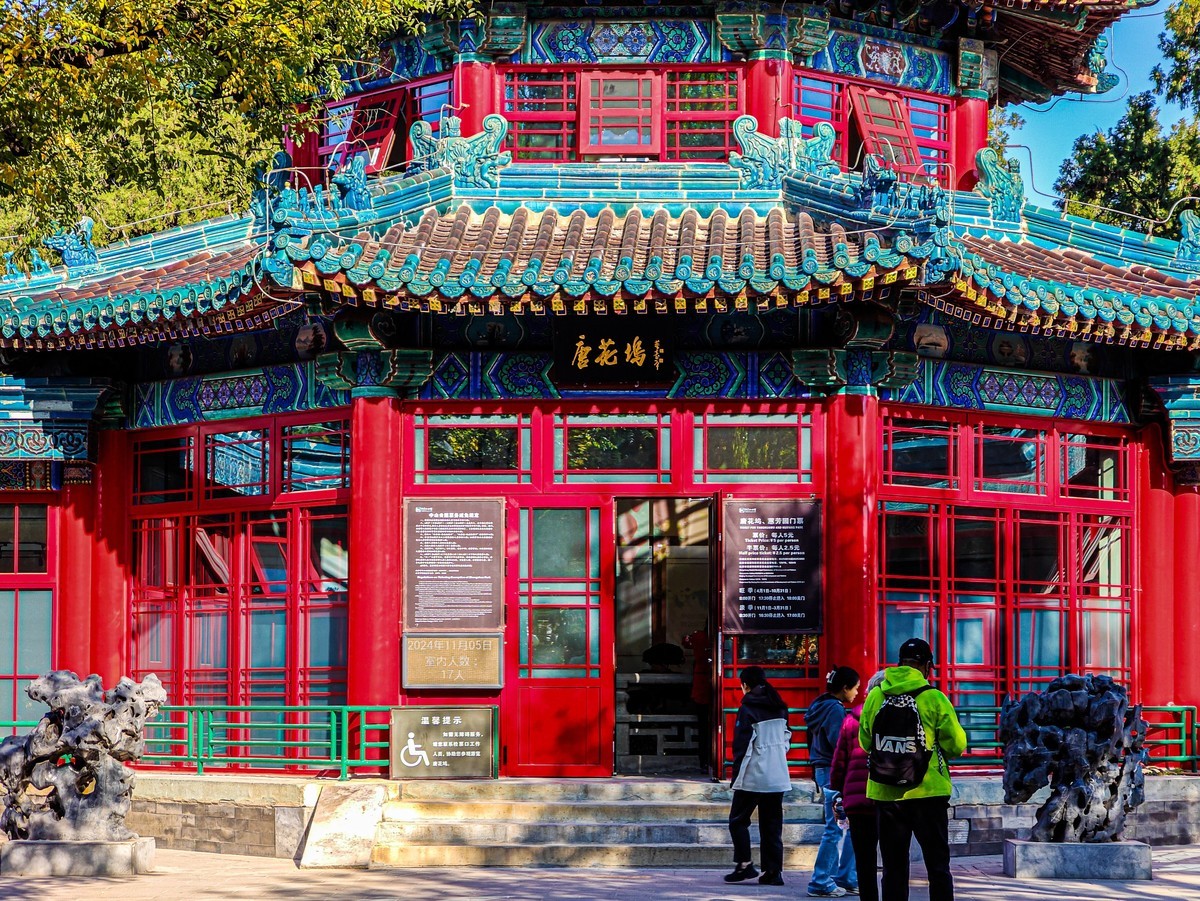 手机游拍20241105《48》