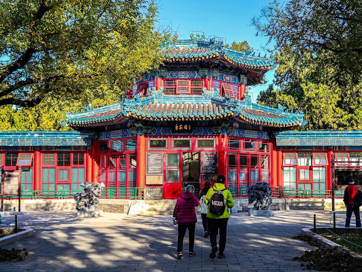 手机游拍20241105《48》