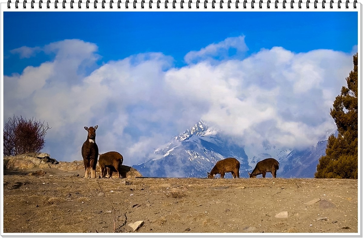 2025年- 人文风光纪实抓拍集锦-0312