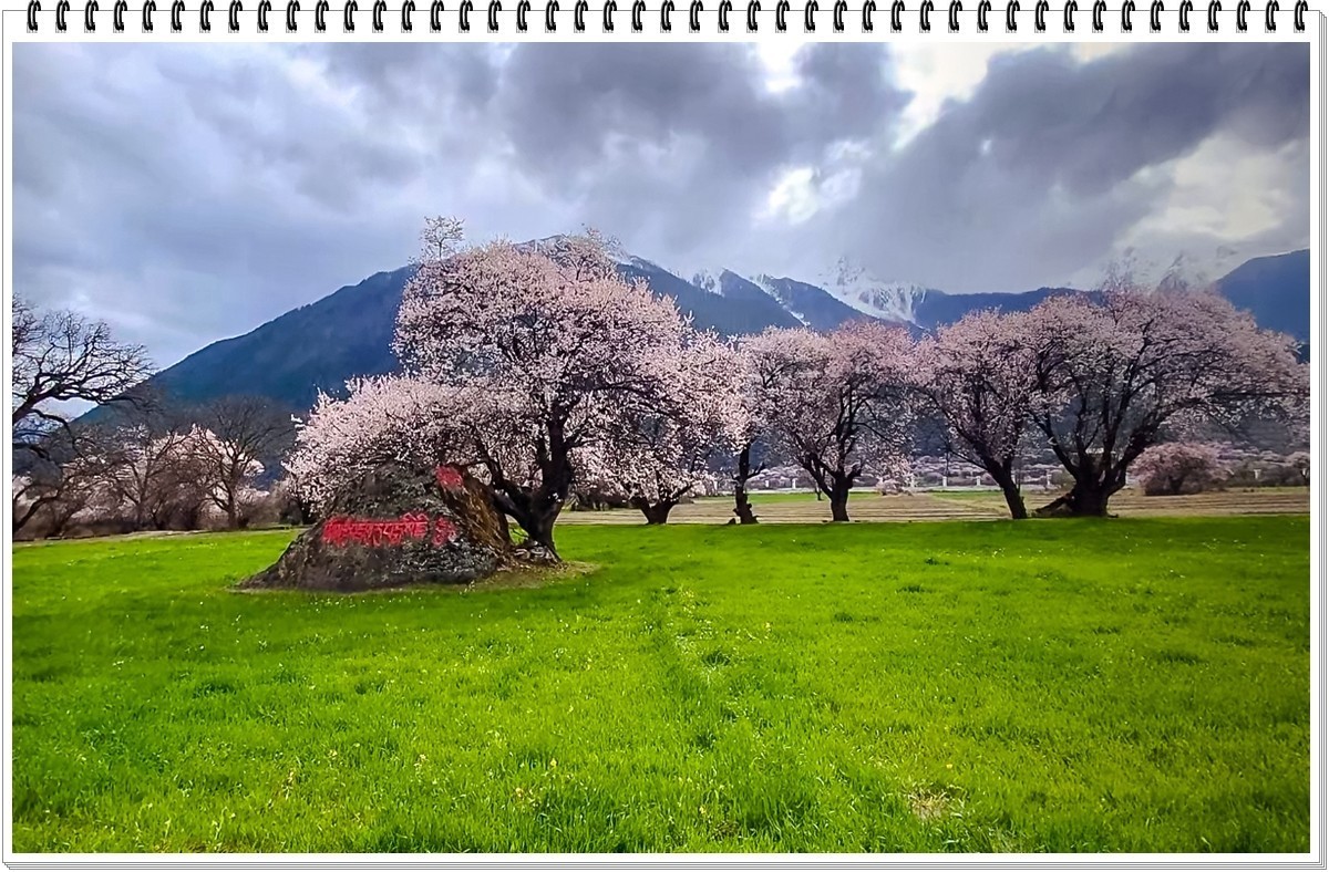 2025年- 人文风光纪实抓拍集锦-0312