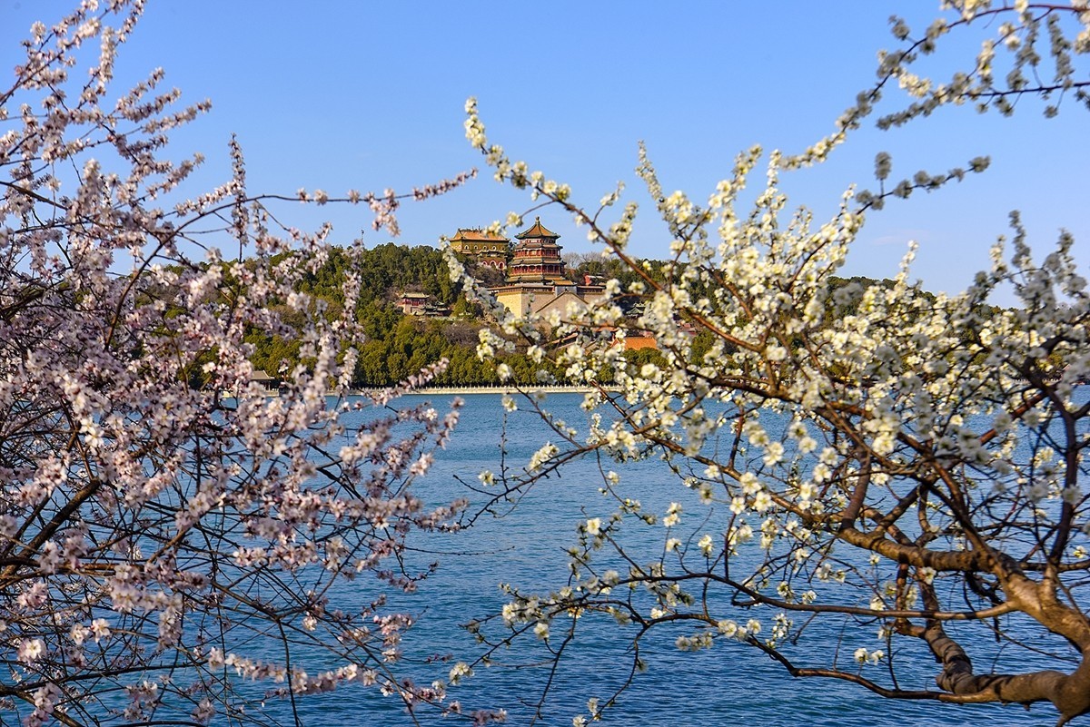 2025年第0391贴-颐和园西堤纪实拍（0608）