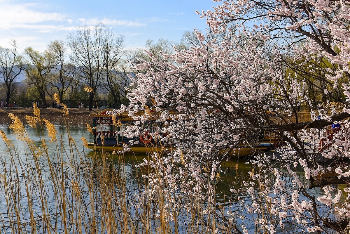 2025年第0391贴-颐和园西堤纪实拍（0608）