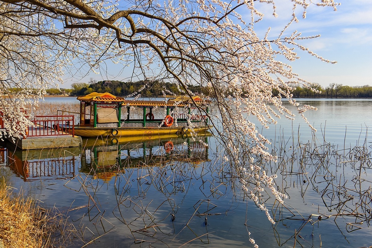 2025年第0391贴-颐和园西堤纪实拍（0608）