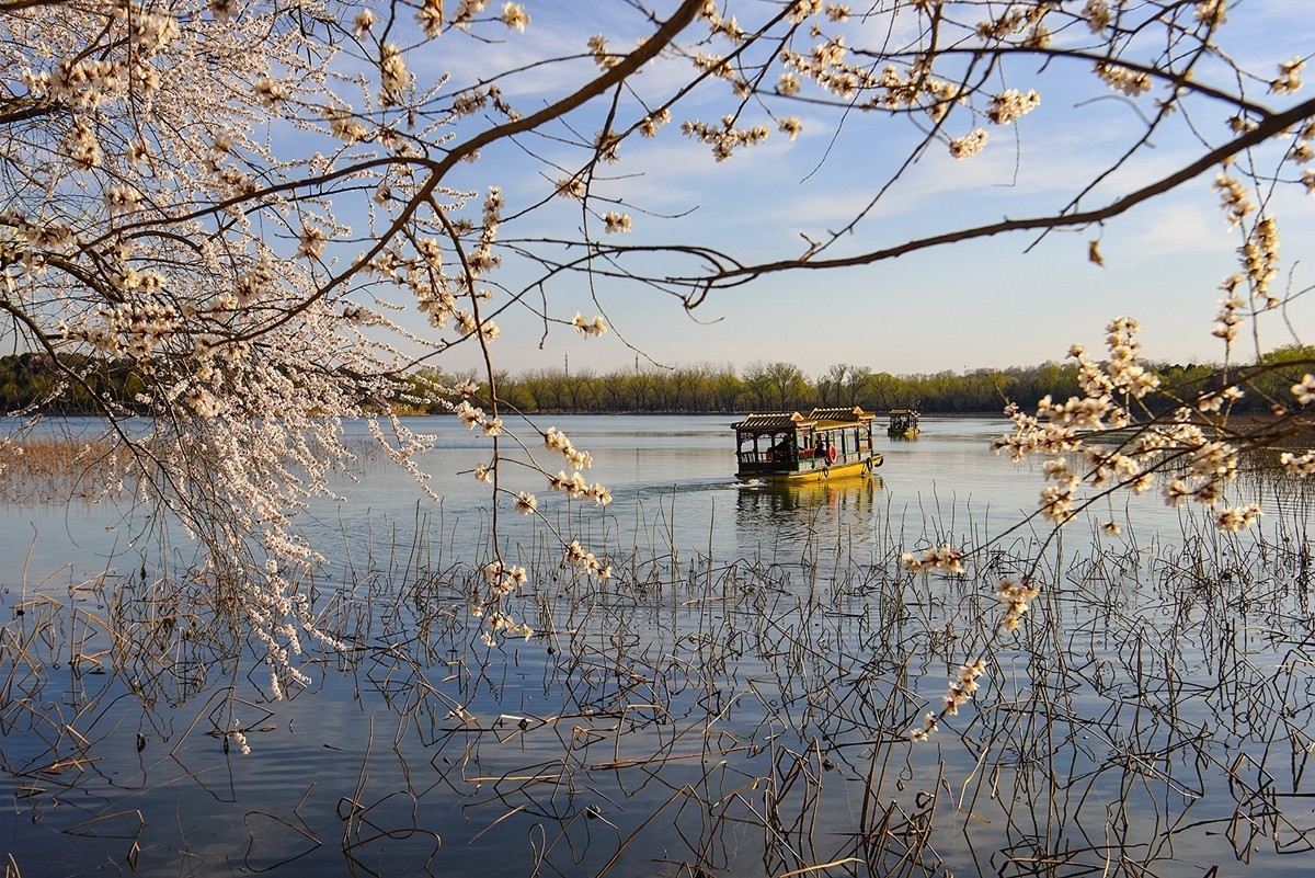 2025年第0391贴-颐和园西堤纪实拍（0608）