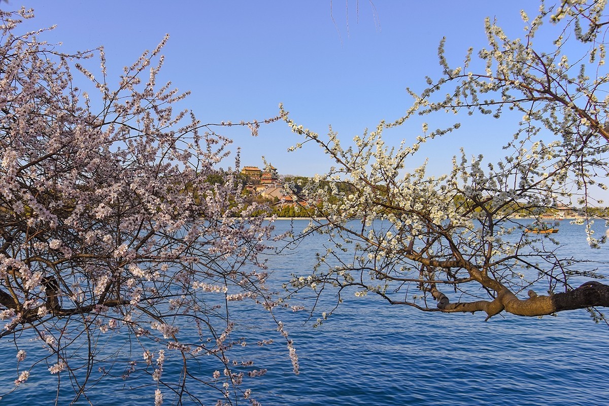 2025年第0391贴-颐和园西堤纪实拍（0608）