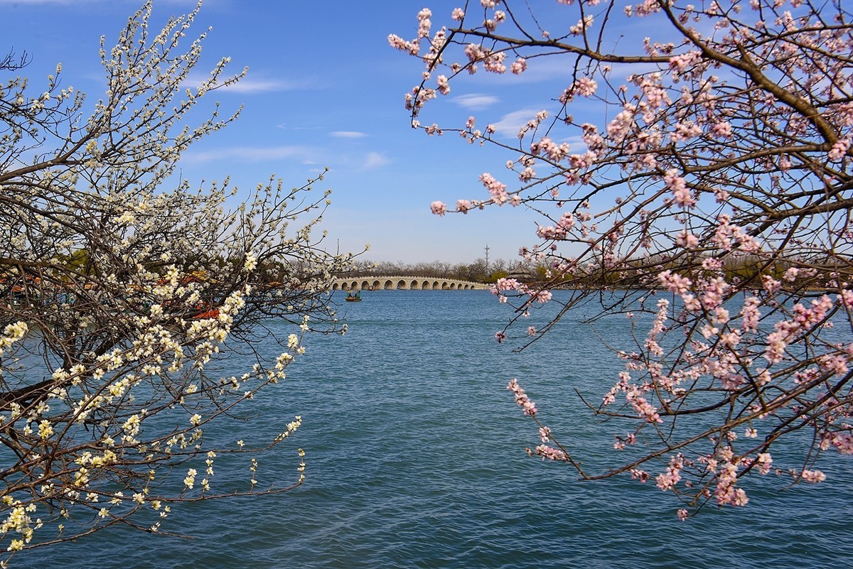 2025年第0393贴-颐和园西堤纪实拍（0608）