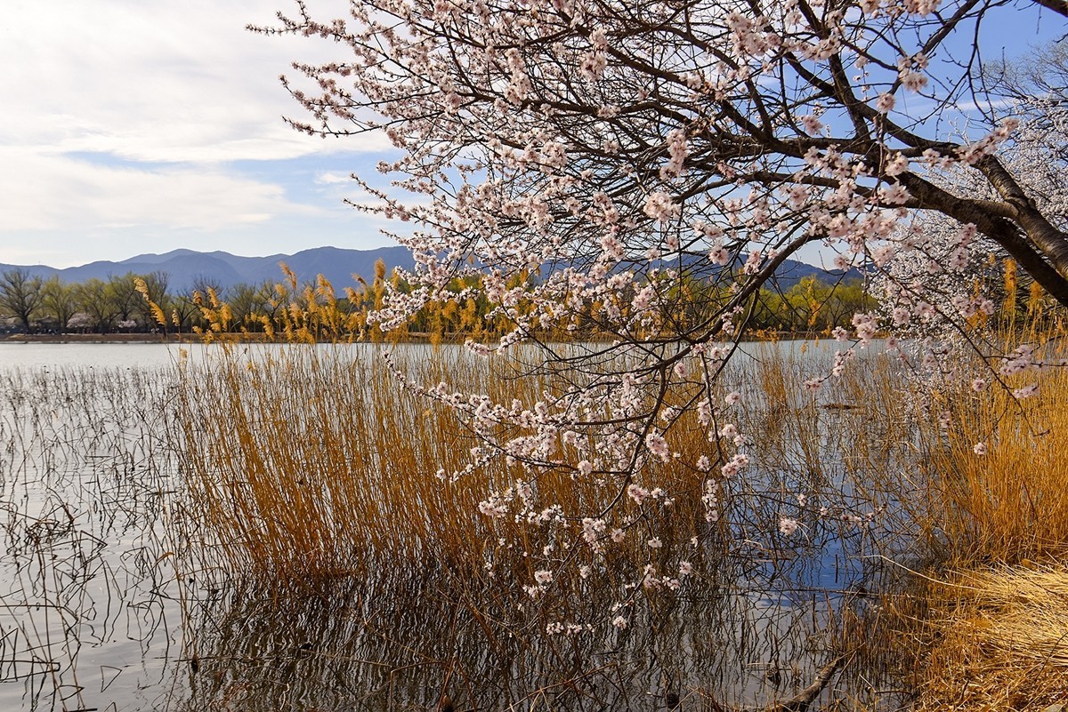 2025年第0393贴-颐和园西堤纪实拍（0608）