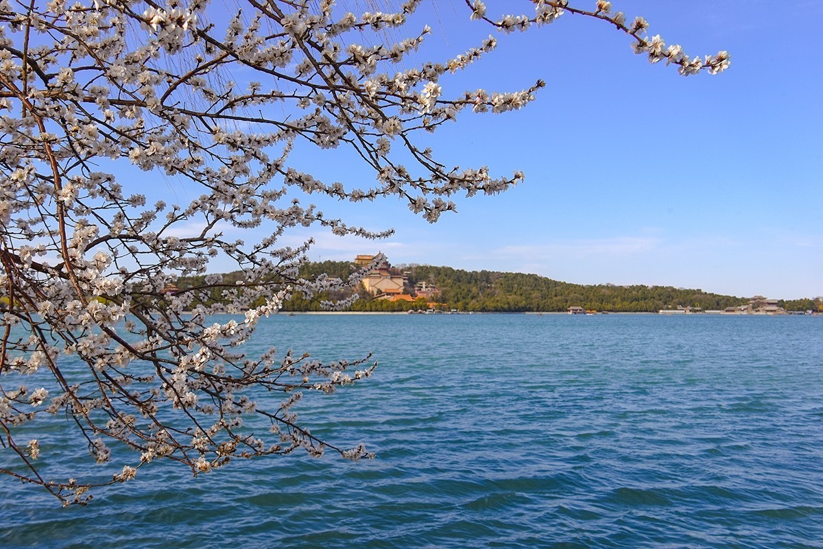 2025年第0393贴-颐和园西堤纪实拍（0608）