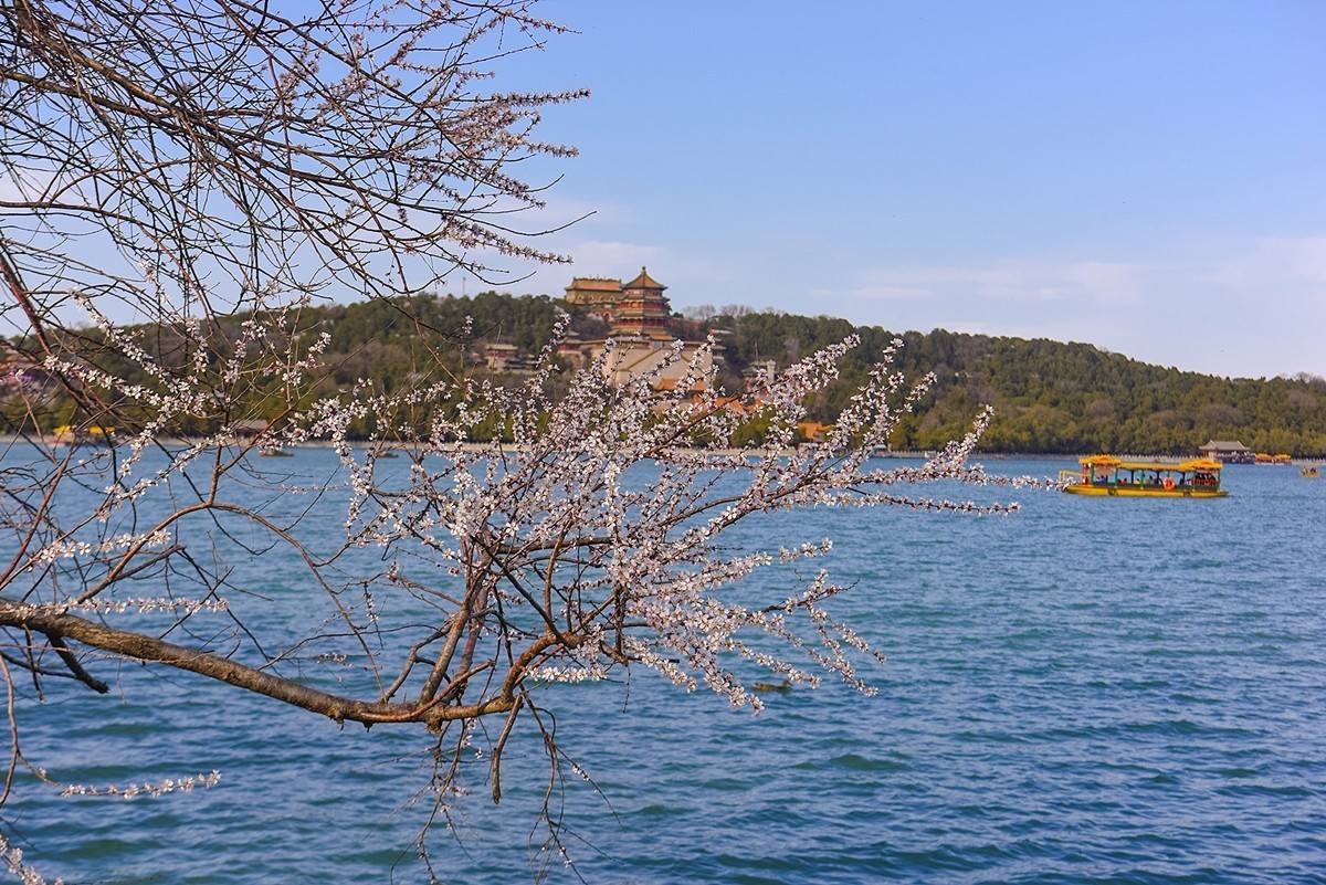 2025年第0393贴-颐和园西堤纪实拍（0608）