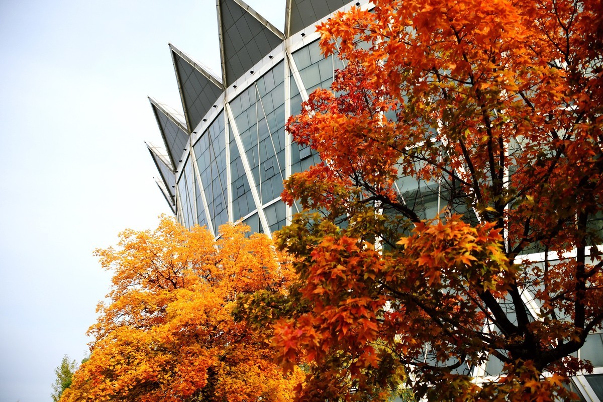 明湖广场秋意浓
