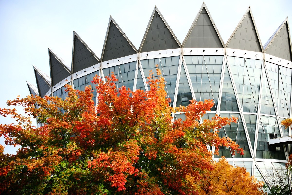 明湖广场秋意浓