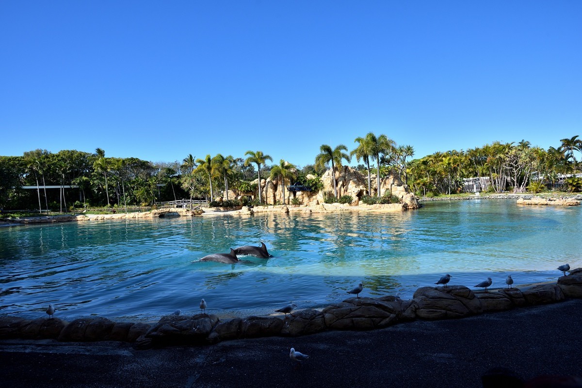 澳大利亚的黄金海岸  2 /6