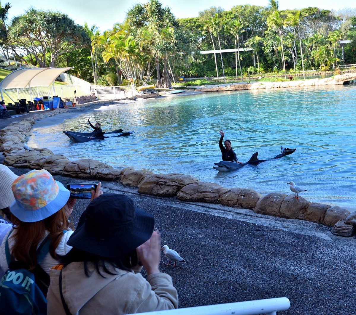 澳大利亚的黄金海岸  2 /6